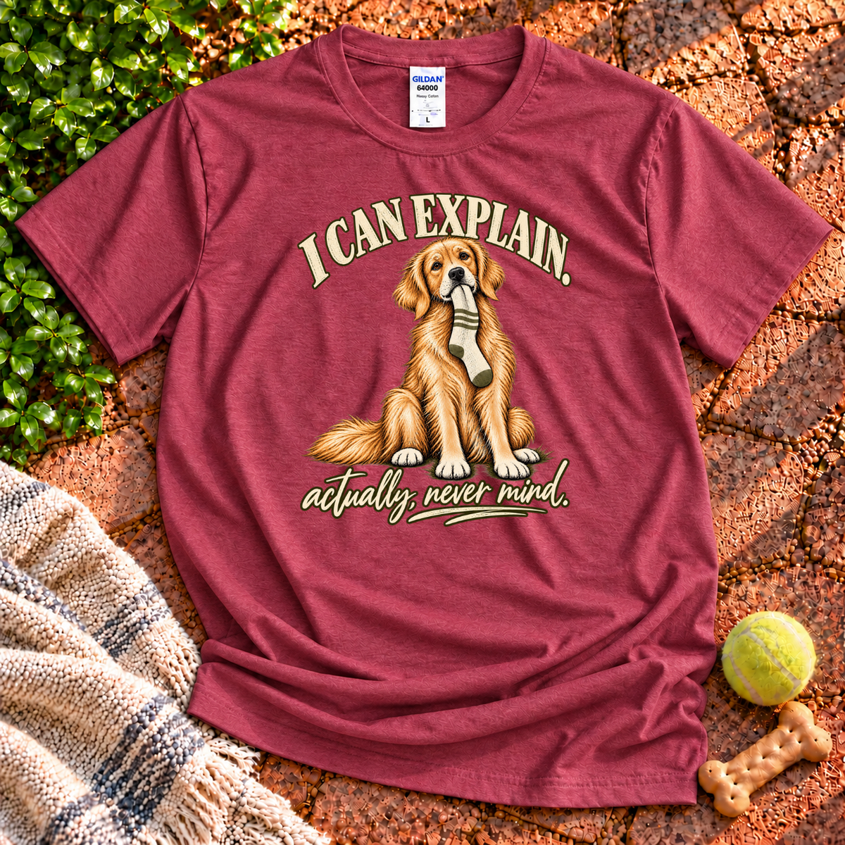 I Can Explain T-Shirt