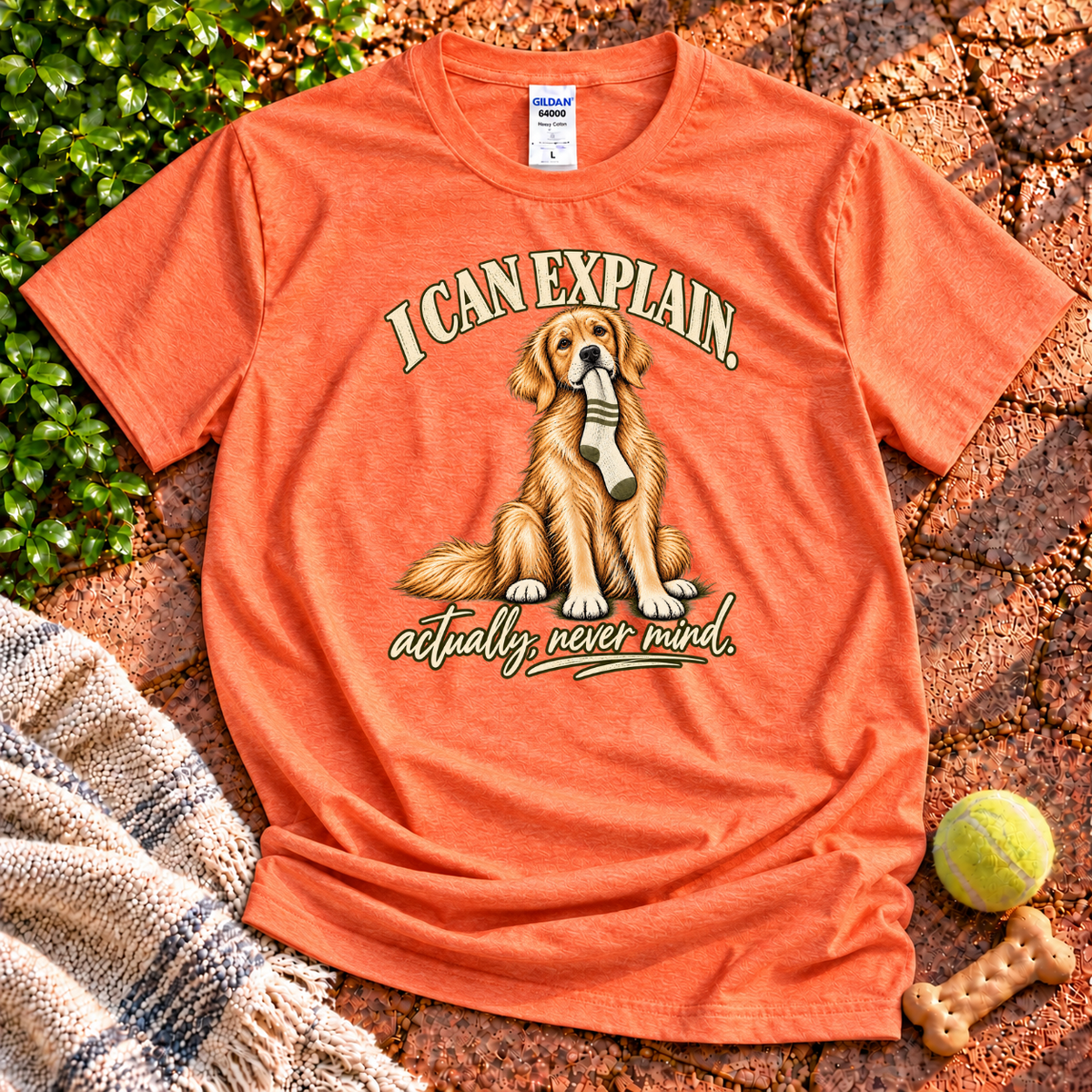 I Can Explain T-Shirt