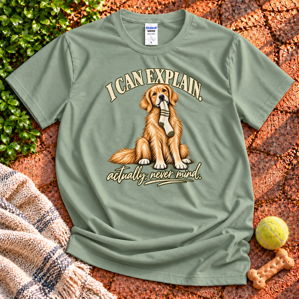 I Can Explain T-Shirt