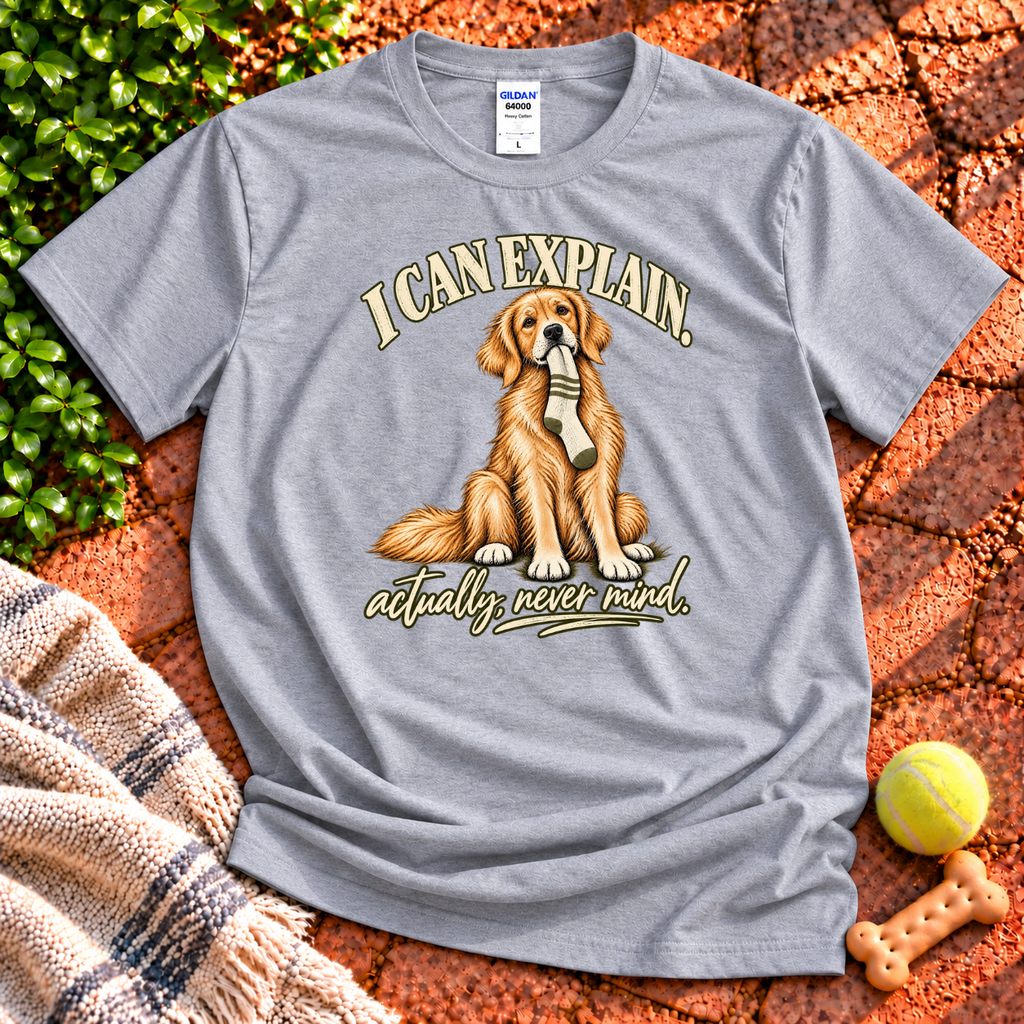 I Can Explain T-Shirt